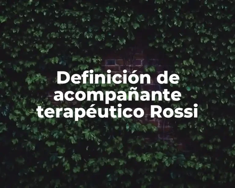 Definición de acompañante terapéutico Rossi