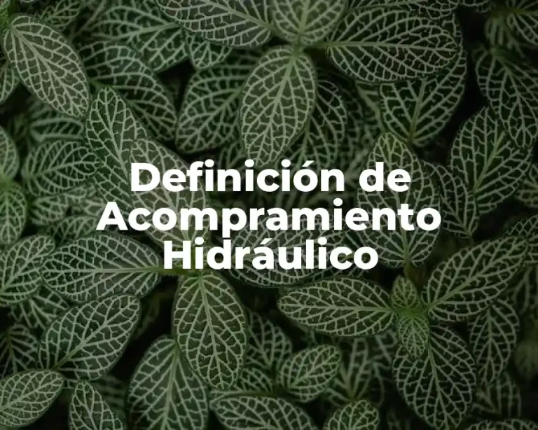 Definición de Acompramiento Hidráulico