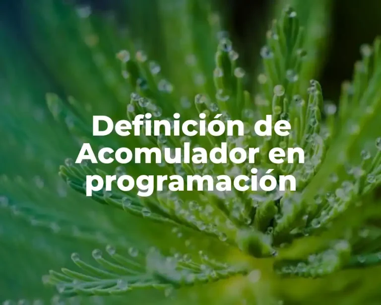 Definición de Acomulador en programación