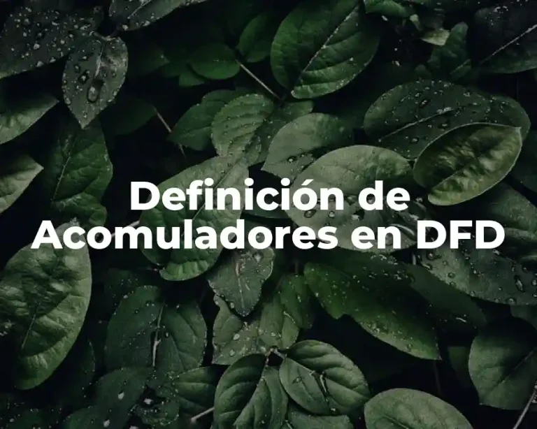 Definición de Acomuladores en DFD