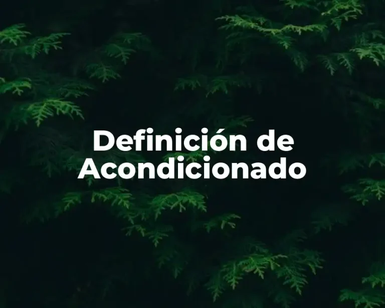 Definición de Acondicionado
