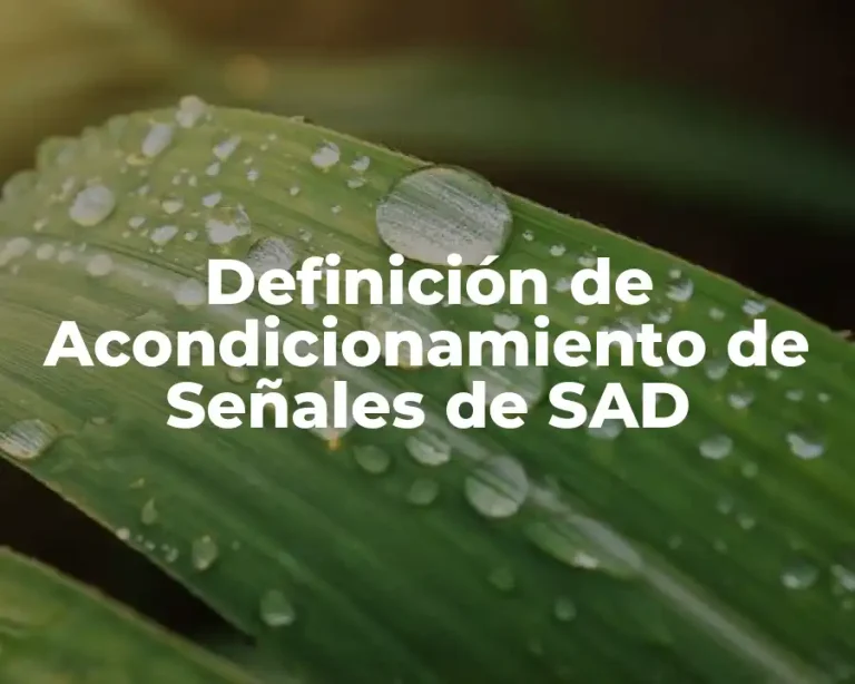 Definición de Acondicionamiento de Señales de SAD