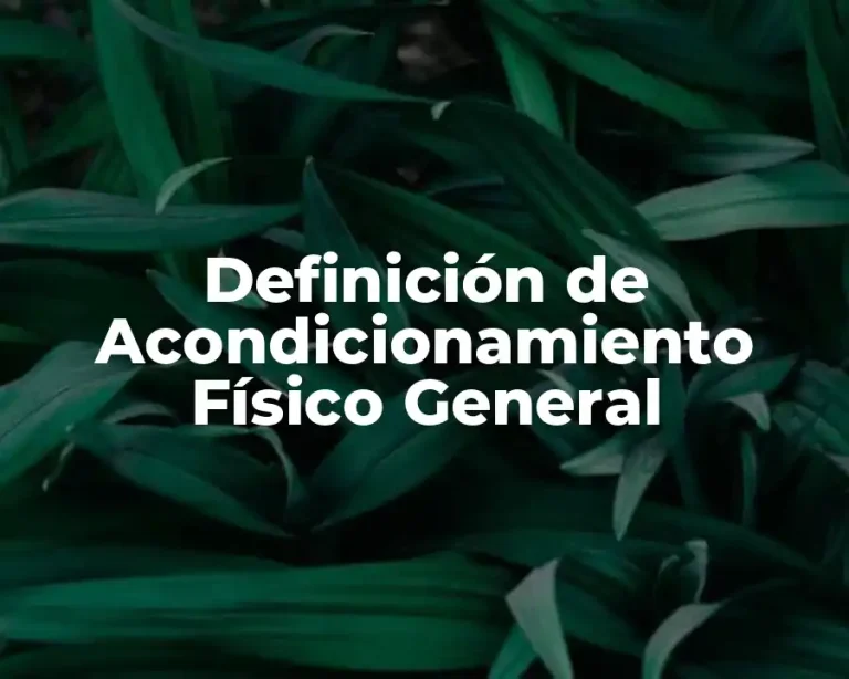 Definición de Acondicionamiento Físico General