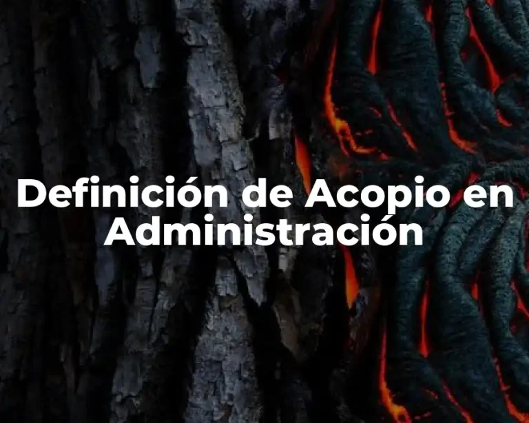 Definición de Acopio en Administración