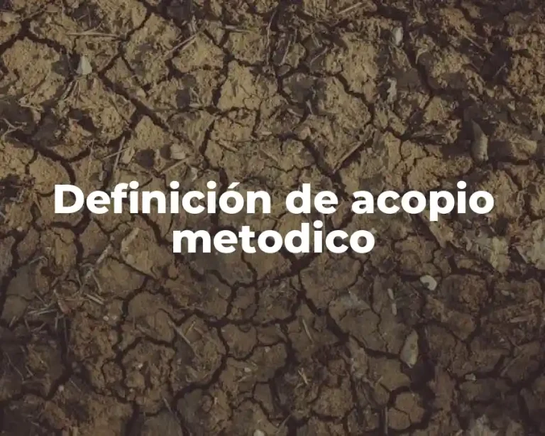 Definición de acopio metodico