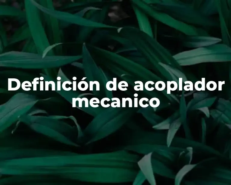 Definición de acoplador mecanico