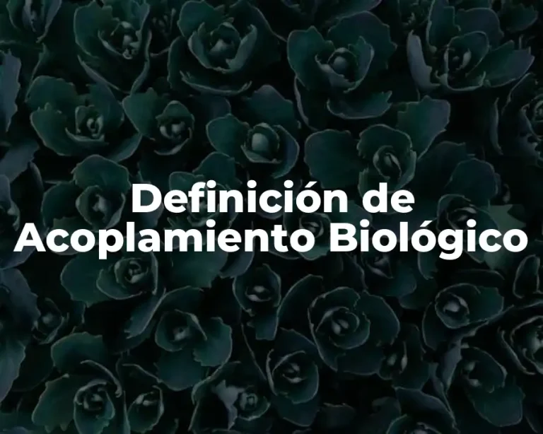 Definición de Acoplamiento Biológico