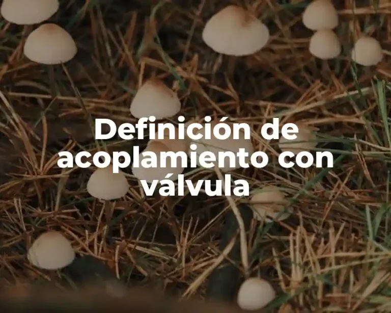 Definición de acoplamiento con válvula
