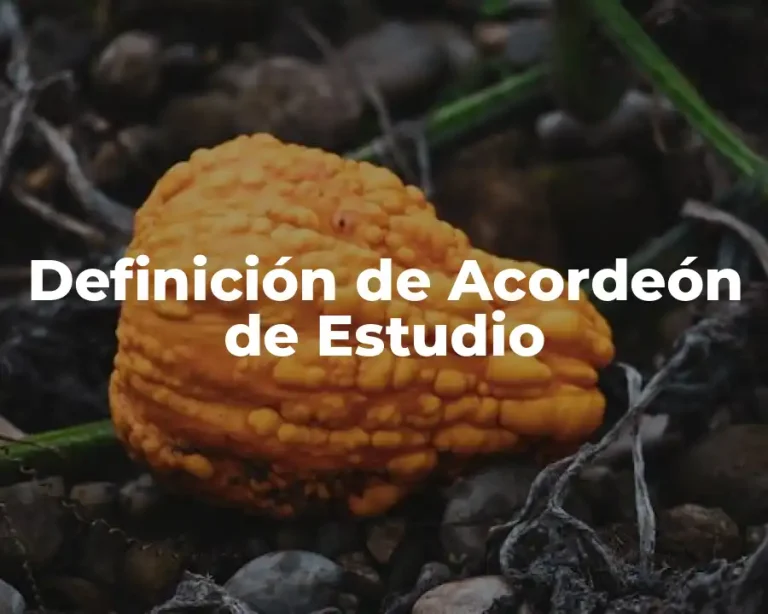 Definición de Acordeón de Estudio