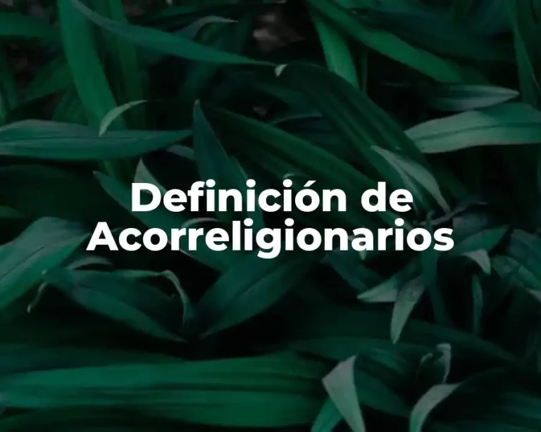 Definición de Acorreligionarios