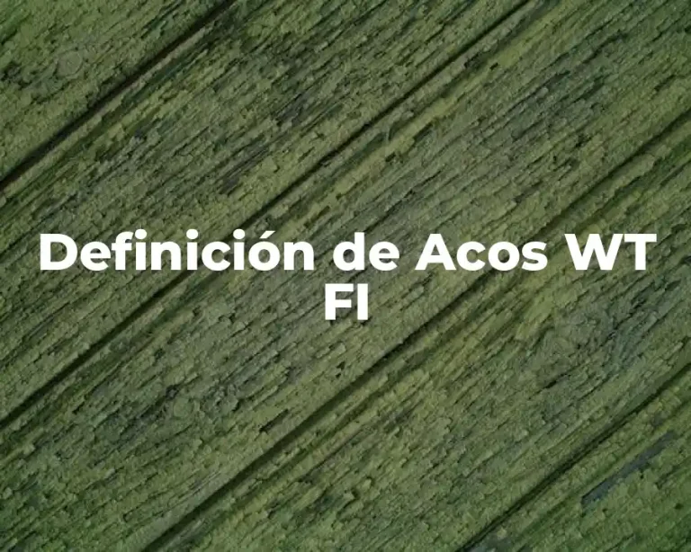 Definición de Acos WT FI