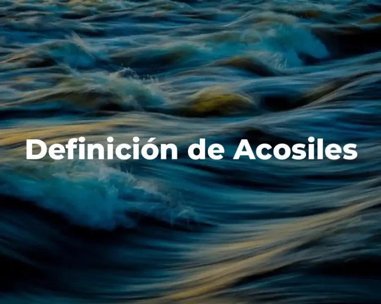 Definición de Acosiles
