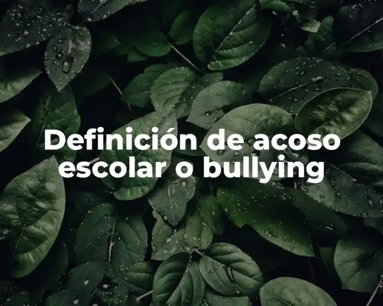 Definición de acoso escolar o bullying