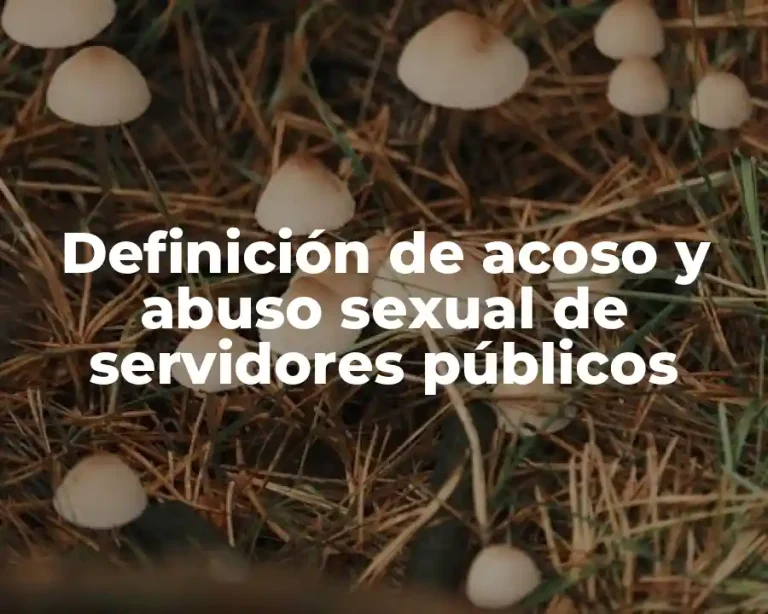 Definición de acoso y abuso sexual de servidores públicos