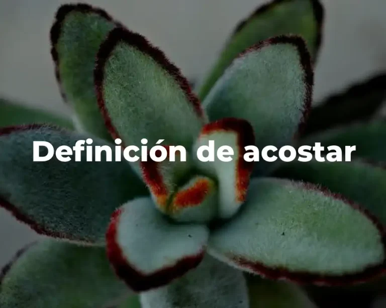Definición de acostar