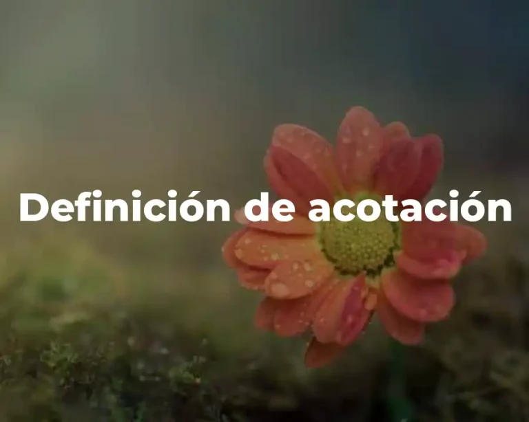 Definición de acotación