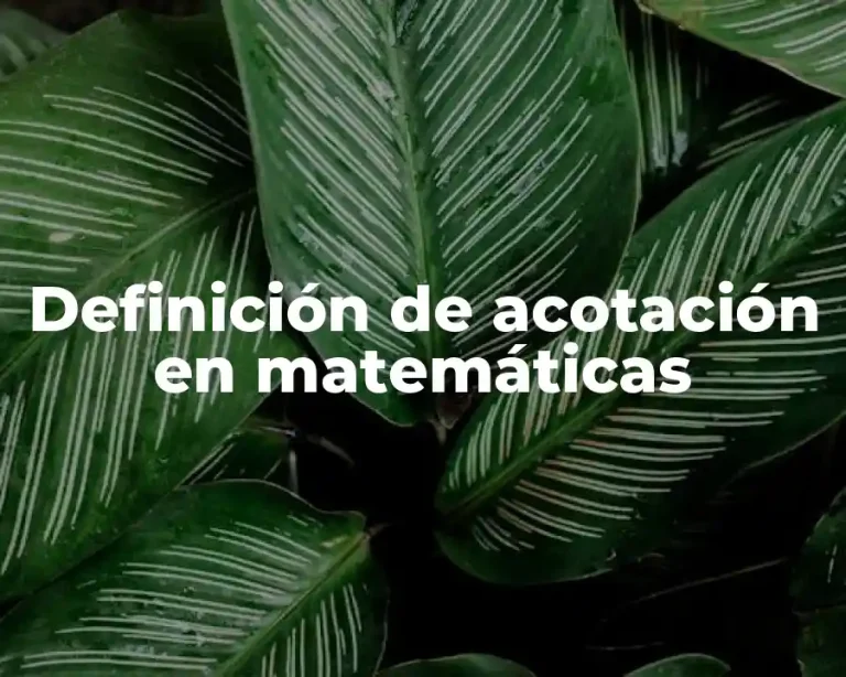 Definición de acotación en matemáticas