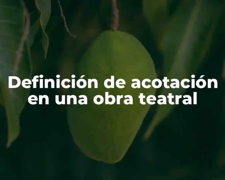 Definición de acotación en una obra teatral