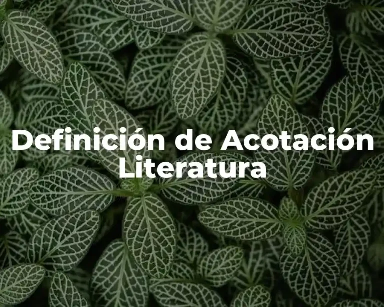 Definición de Acotación Literatura