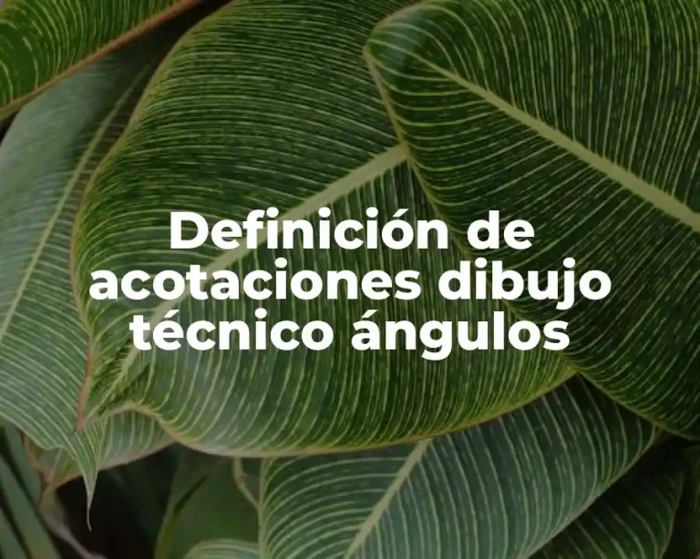Definición de acotaciones dibujo técnico ángulos
