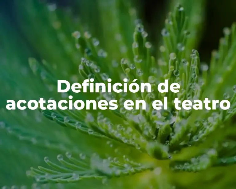 Definición de acotaciones en el teatro
