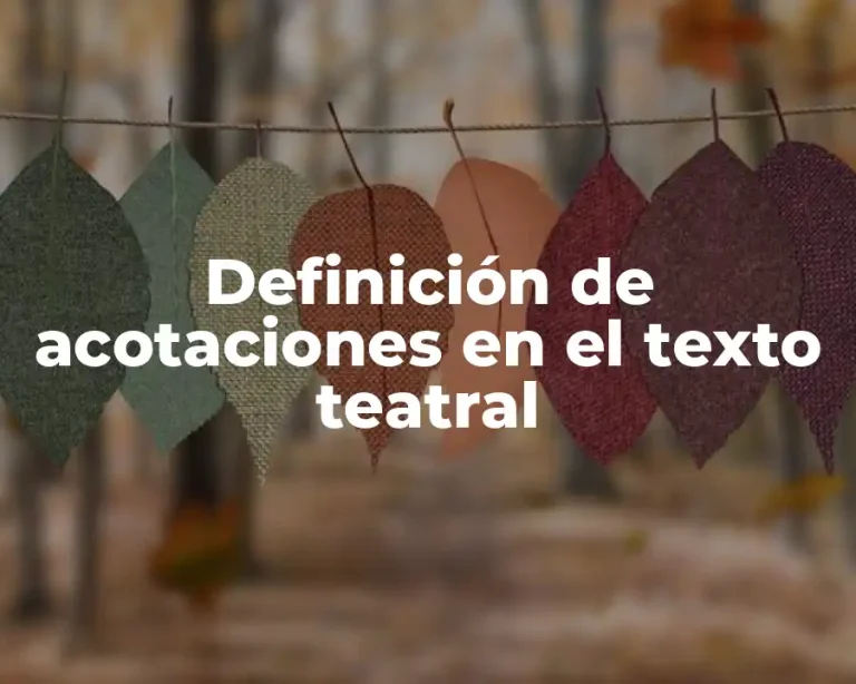Definición de acotaciones en el texto teatral