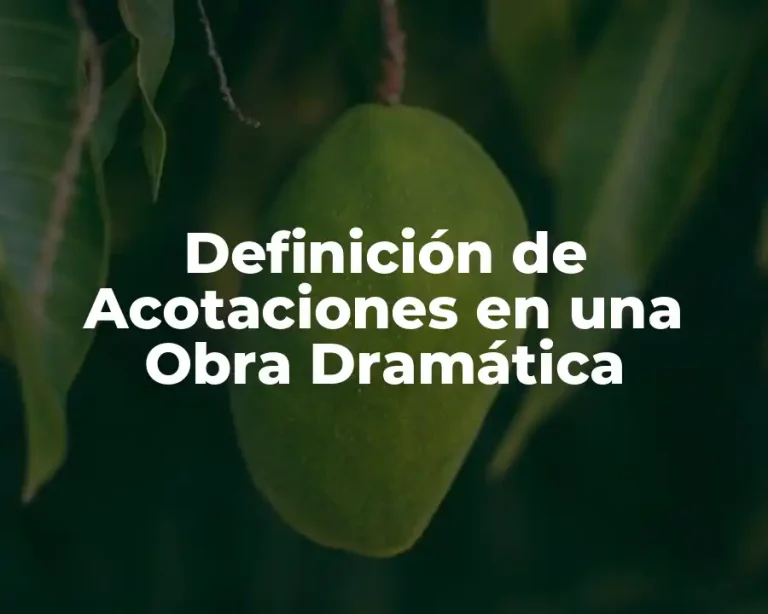 Definición de Acotaciones en una Obra Dramática