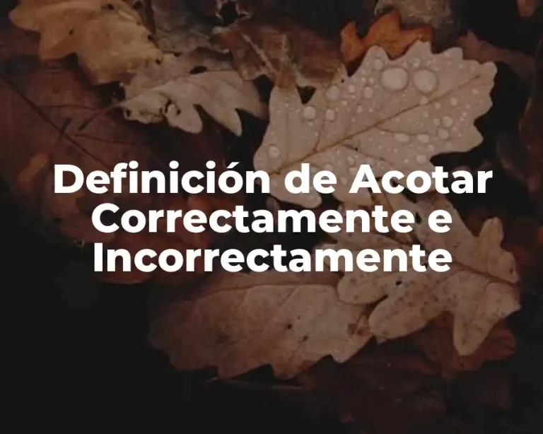 Definición de Acotar Correctamente e Incorrectamente