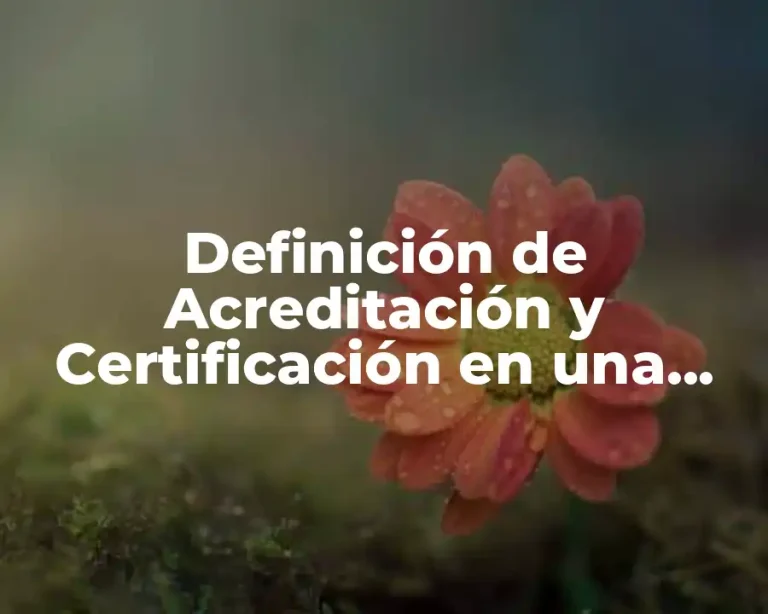Definición de Acreditación y Certificación en una Norma