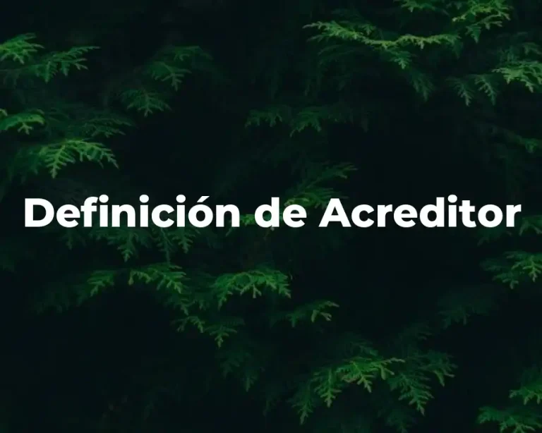 Definición de Acreditor