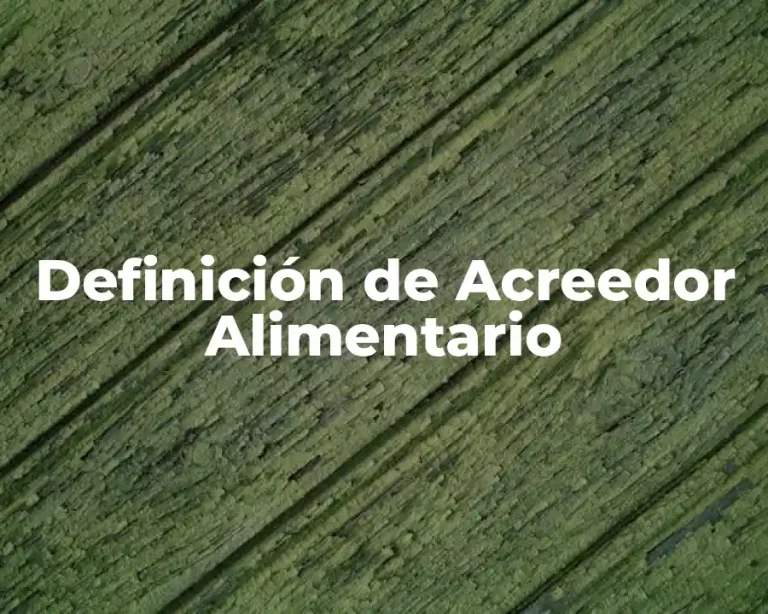 Definición de Acreedor Alimentario