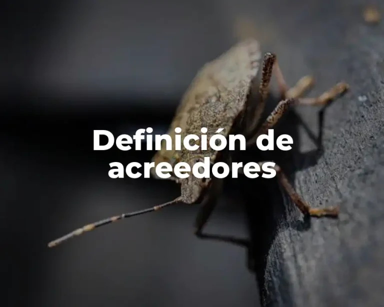 Definición de acreedores