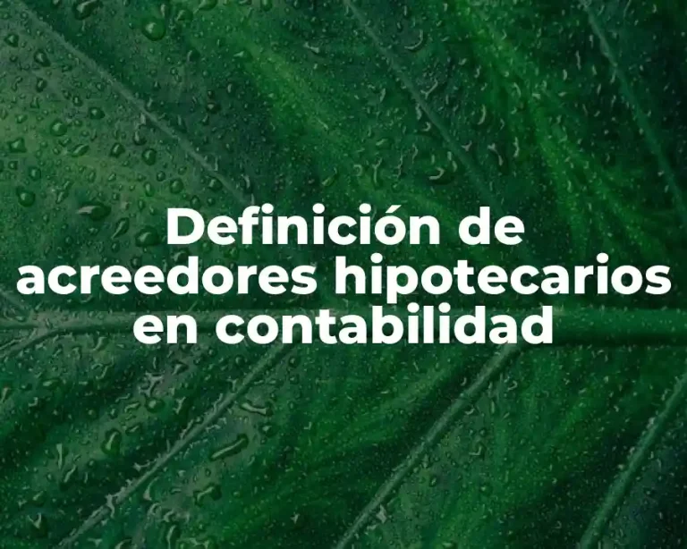 Definición de acreedores hipotecarios en contabilidad