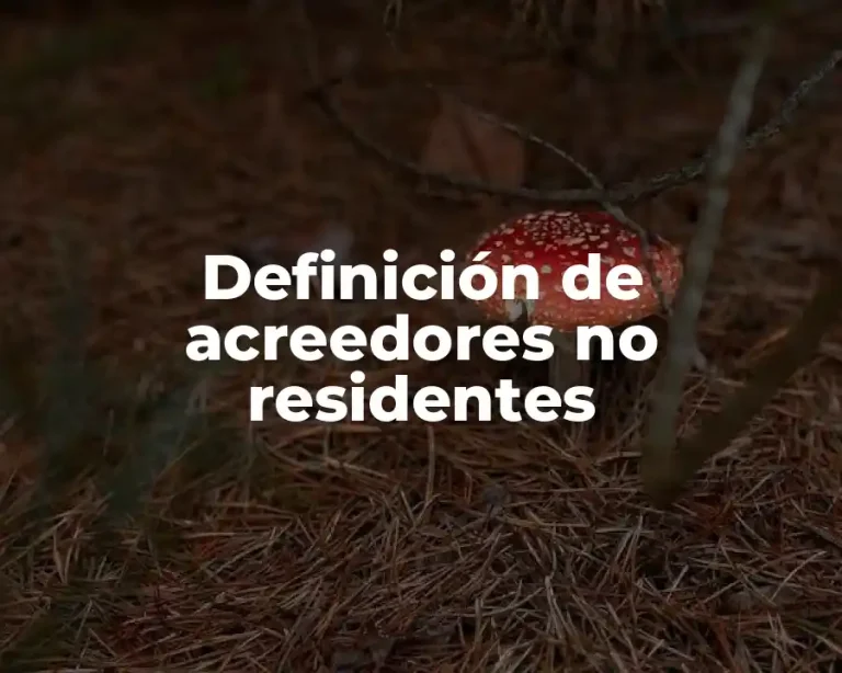Definición de acreedores no residentes