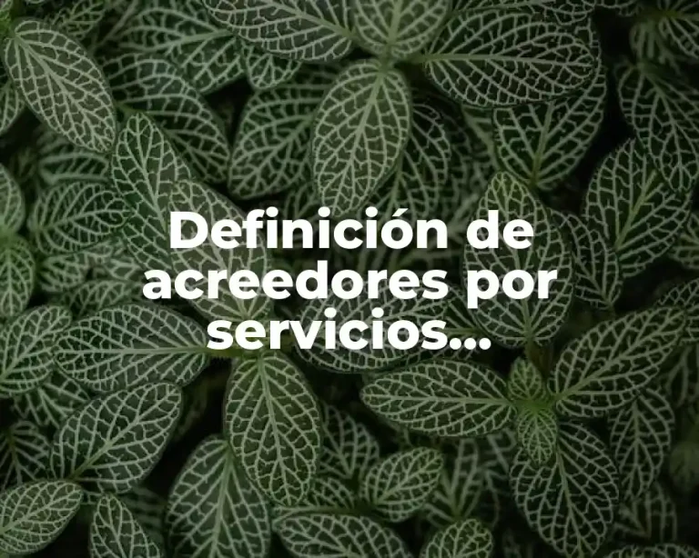 Definición de acreedores por servicios indispensables y necesarios