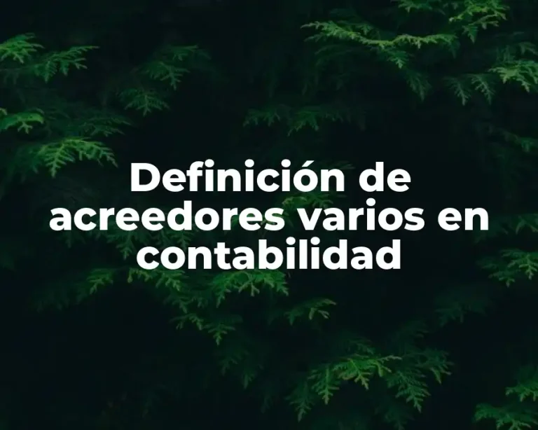 Definición de acreedores varios en contabilidad