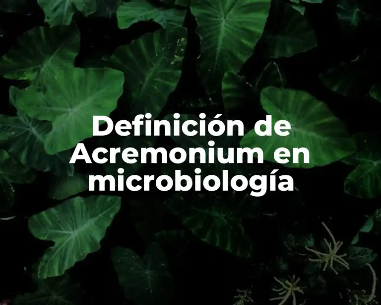 Definición de Acremonium en microbiología