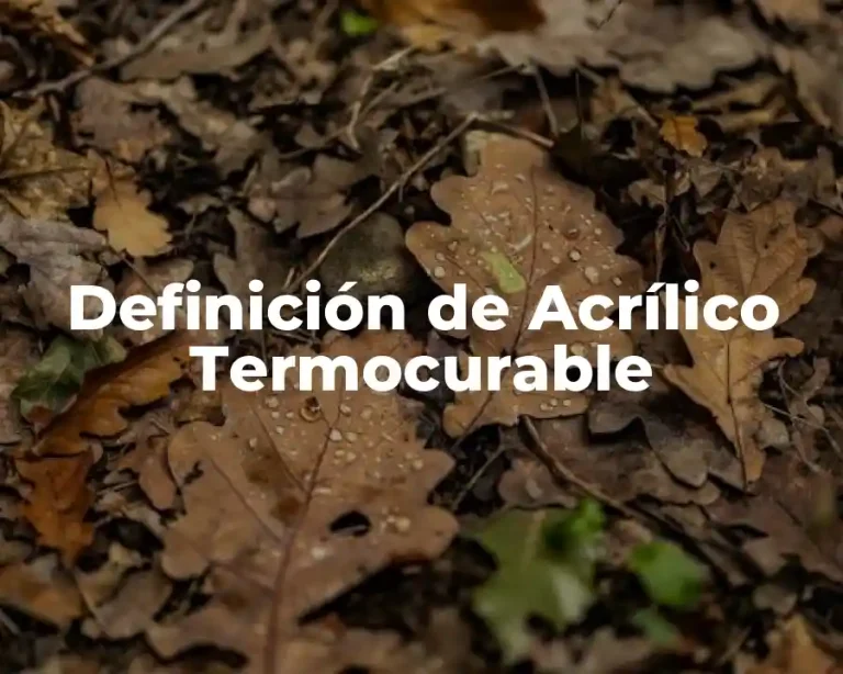 Definición de Acrílico Termocurable