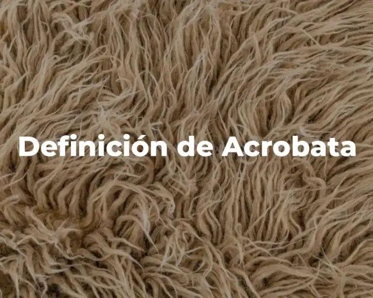 Definición de Acrobata
