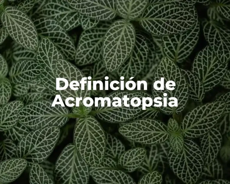 Definición de Acromatopsia