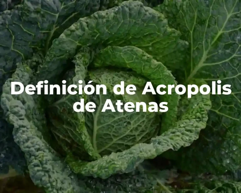 Definición de Acropolis de Atenas