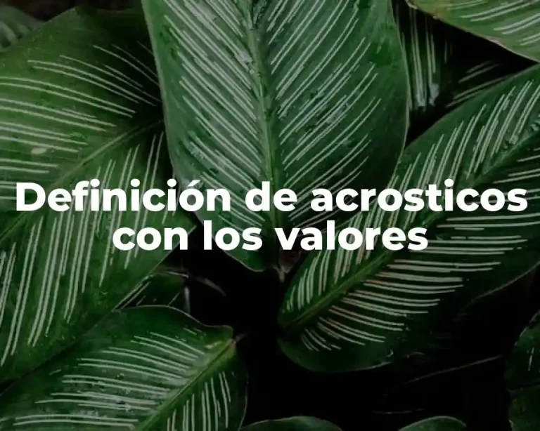 Definición de acrosticos con los valores