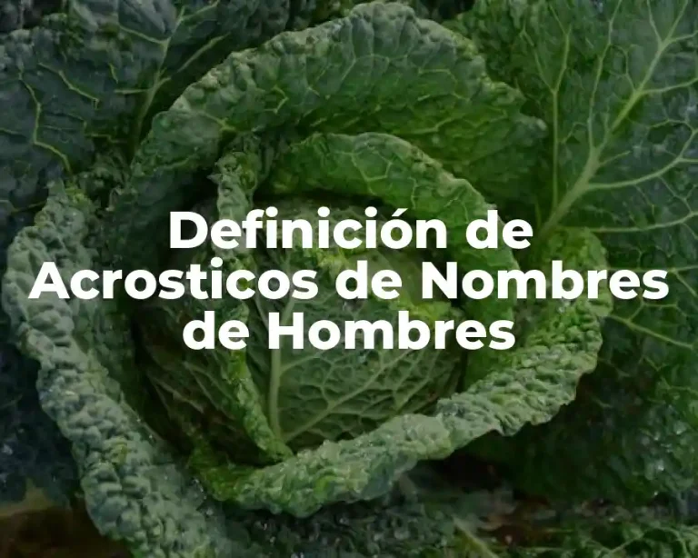 Definición de Acrosticos de Nombres de Hombres