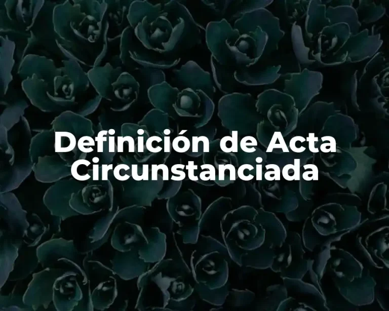 Definición de Acta Circunstanciada