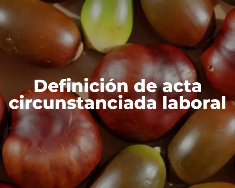 Definición de acta circunstanciada laboral