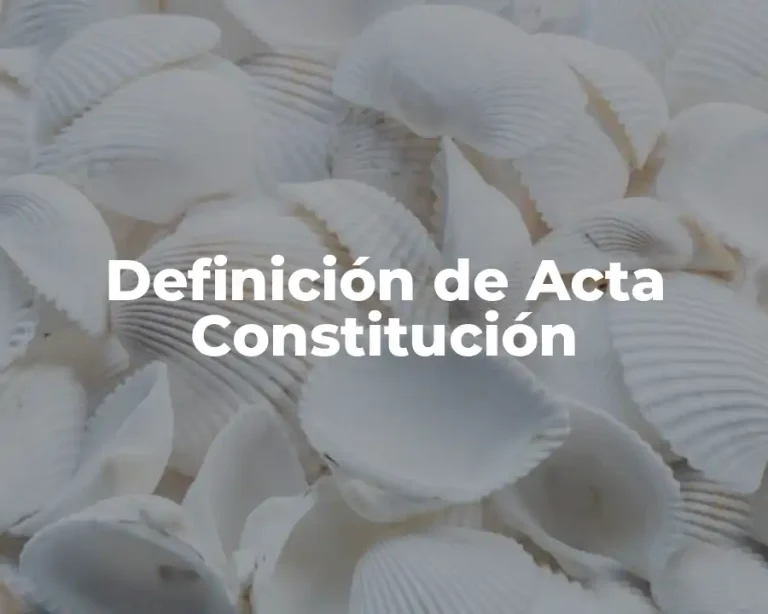 Definición de Acta Constitución