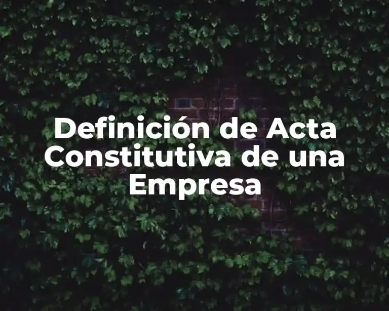 Definición de Acta Constitutiva de una Empresa