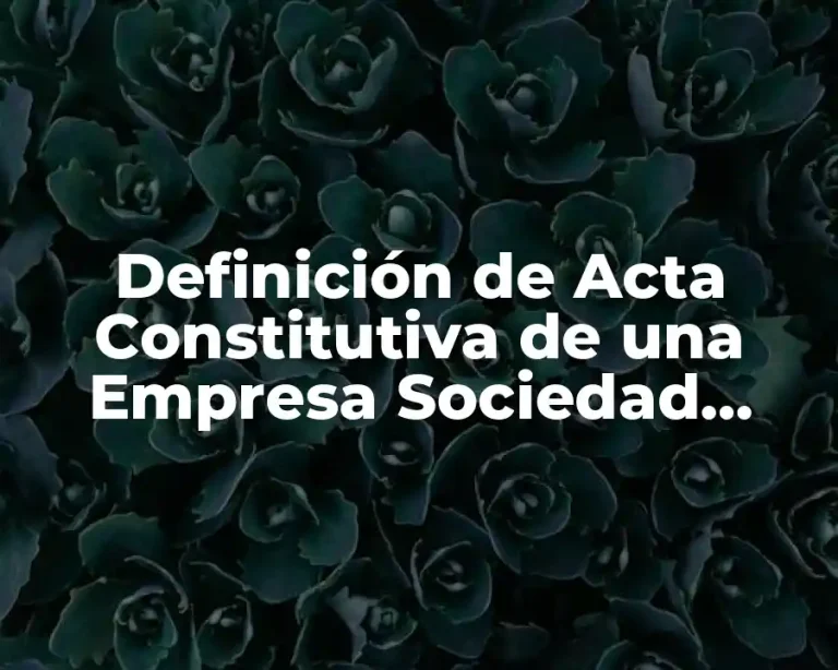Definición de Acta Constitutiva de una Empresa Sociedad Anónima