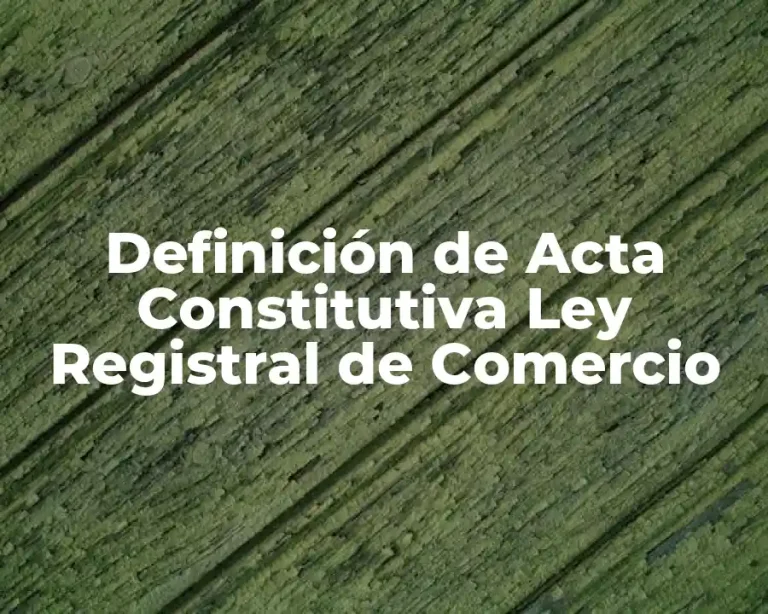 Definición de Acta Constitutiva Ley Registral de Comercio