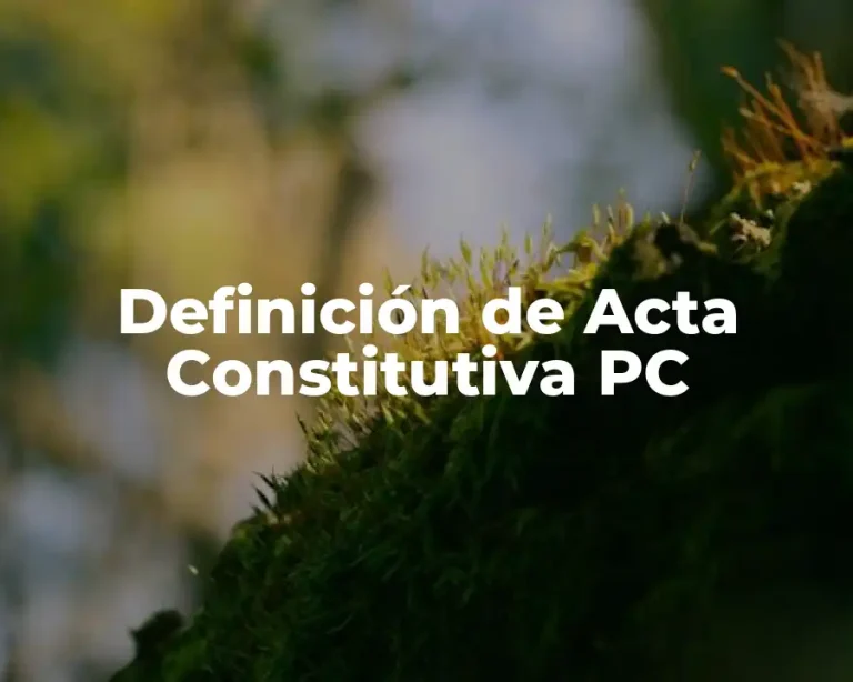 Definición de Acta Constitutiva PC